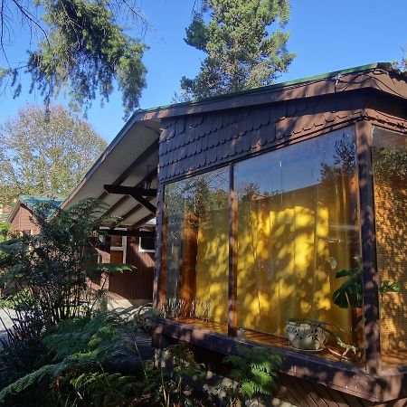 Silvestre Cabanas Puerto Varas Zewnętrze zdjęcie